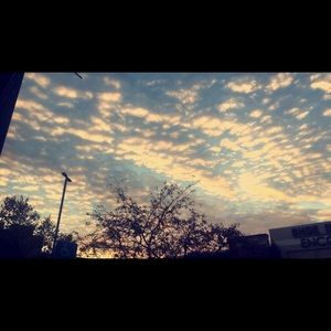 Meet your Posher, Skylar